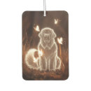 Recherche de nuit voiture accessoires Papillon