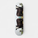 Recherche de vache skateboards Nature