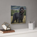 Recherche de shaggy posters Dog