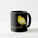Recherche de canaris tasses Animal