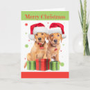 Recherche de deux chiens vœux cartes Vert