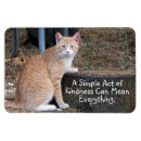 Recherche de chat tigré magnets Encouragement