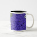 Recherche de keukenhof tasses Fleur