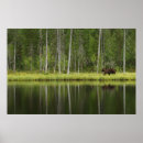 Recherche de finland posters Landscape