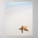 Recherche de outdoor scenes posters Tranquil scene