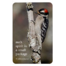 Recherche de pic magnets Photographie de la nature