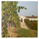 Recherche de vignoble carreaux Végétation