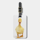 Recherche de caneton bagages étiquettes Canard