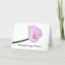 Recherche de zantedeschia photographie Calla