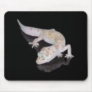Recherche de geckos tapis souris Léopard