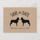 Recherche de colley invitations Chien