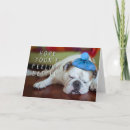 Recherche de sick cartes postales Animaux