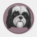 Recherche de chiot de carlin magnets Fleurs