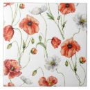 Recherche de pavots sauvages carreaux Nature