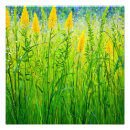 Recherche de photo sauvage posters Jaune