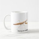 Recherche de mante tasses Animaux