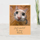 Recherche de mariage de chat vœux cartes Toute personne