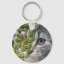Recherche de oeil tigre porteclés Chat