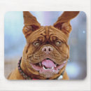 Recherche de mastiff français tapis souris Dog
