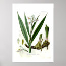 Recherche de alpin posters Illustration