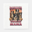 Recherche de border collie serviettes Chien