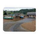 Recherche de st david magnets Canadien
