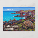 Recherche de îles galapagos cartes postales Tortue géante