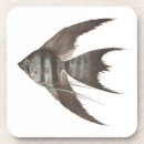 Recherche de scalaire Poissons tropicaux