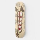 Recherche de viande skateboards Boeuf
