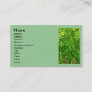 Recherche de jungles cartes visite Nature