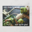 Recherche de serpent vert cartes postales Nature