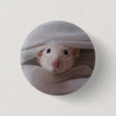 Recherche de rats badges Animal familier