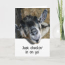 Recherche de animaux de ferme vœux cartes Bétail