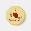 Recherche de savane magnets Animal