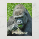 Recherche de gorille sauvage cartes postales Drôle