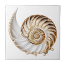 Recherche de nautilus carreaux Coquille de nautilus