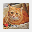 Recherche de caresse magnets Image