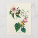 Recherche de peinture américaine cartes postales Artiste américain