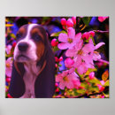 Recherche de hound art Chiot