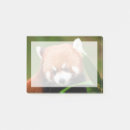 Recherche de panda roux Chine