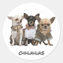 Recherche de chiot cadeau emballages Race