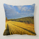 Recherche de champ de blé coussins Récolte