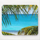 Recherche de palmier tropical tapis souris Plage tropicale