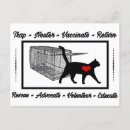 Recherche de adoption de chat cartes postales Adopter