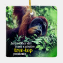 Recherche de singe drôle ornements Ape