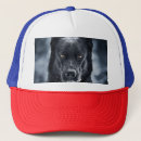 Recherche de de berger allemand casquettes Animaux