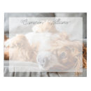 Recherche de cocker spaniel blocsnotes Chiot