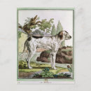 Recherche de petanque cartes postales Chien