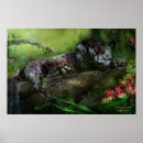 Recherche de panther posters Jungle
