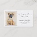 Recherche de mini mastiff Chiot